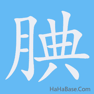 《腆》的筆順動畫寫字動畫演示