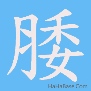 《腇》的筆順動畫寫字動畫演示