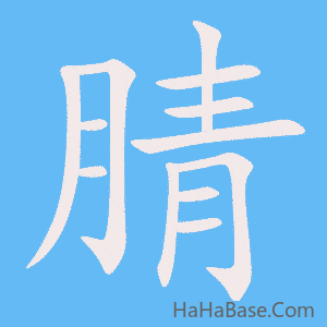 《腈》的筆順動畫寫字動畫演示