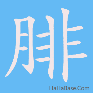 《腓》的筆順動畫寫字動畫演示