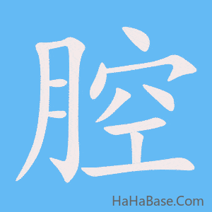 《腔》的筆順動畫寫字動畫演示