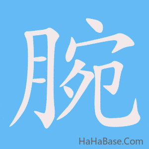 《腕》的筆順動畫寫字動畫演示