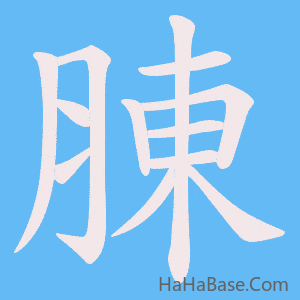 《腖》的筆順動畫寫字動畫演示