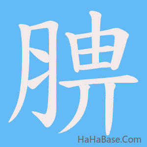 《腗》的筆順動畫寫字動畫演示