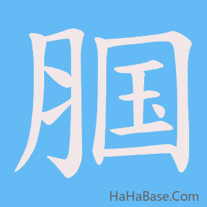 《腘》的筆順動畫寫字動畫演示