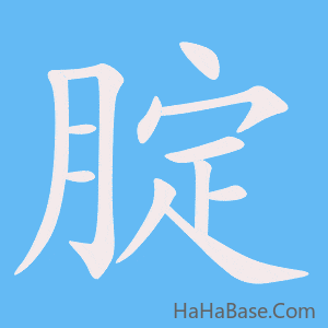 《腚》的筆順動畫寫字動畫演示