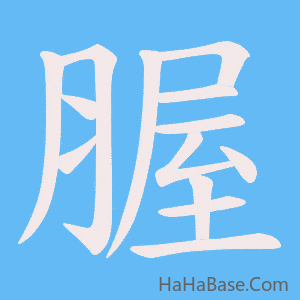 《腛》的筆順動畫寫字動畫演示