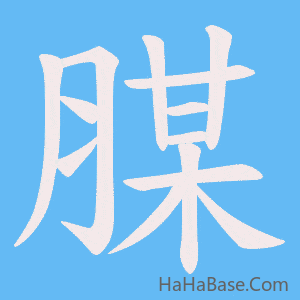 《腜》的筆順動畫寫字動畫演示