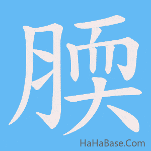 《腝》的筆順動畫寫字動畫演示