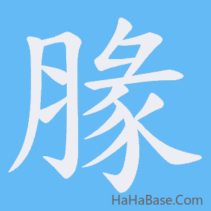 《腞》的筆順動畫寫字動畫演示