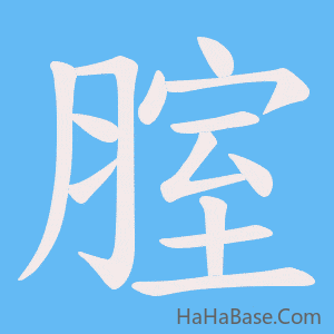 《腟》的筆順動畫寫字動畫演示