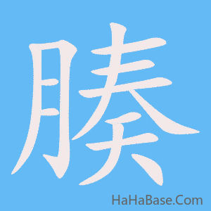 《腠》的筆順動畫寫字動畫演示