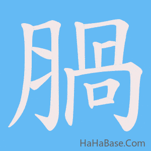 《腡》的筆順動畫寫字動畫演示