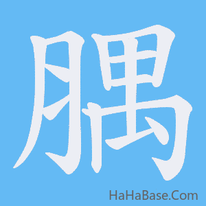 《腢》的筆順動畫寫字動畫演示