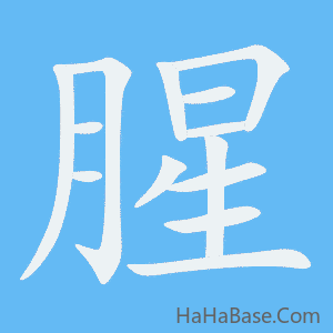 《腥》的筆順動畫寫字動畫演示
