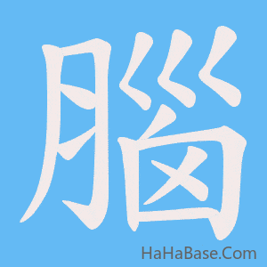 《腦》的筆順動畫寫字動畫演示
