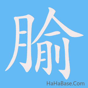 《腧》的筆順動畫寫字動畫演示