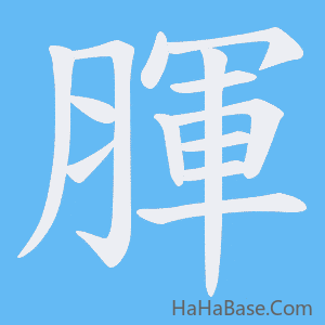 《腪》的筆順動畫寫字動畫演示