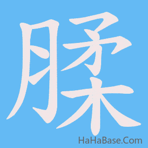 《腬》的筆順動畫寫字動畫演示