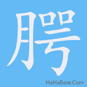 《腭》的筆順動畫寫字動畫演示