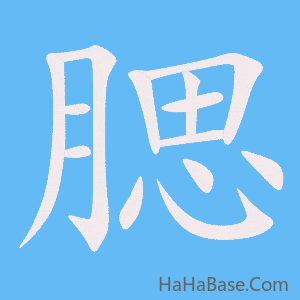 《腮》的筆順動畫寫字動畫演示