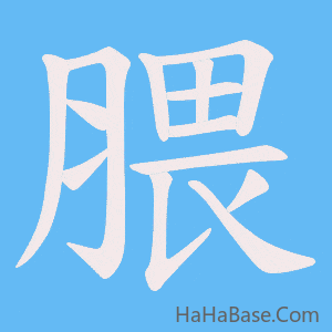 《腲》的筆順動畫寫字動畫演示