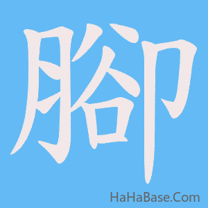 《腳》的筆順動畫寫字動畫演示