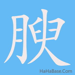 《腴》的筆順動畫寫字動畫演示