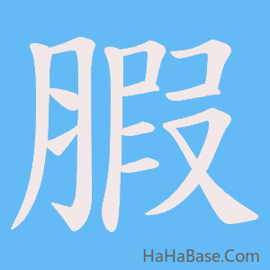 《腵》的筆順動畫寫字動畫演示