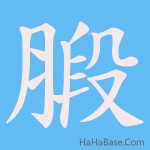 《腶》的筆順動畫寫字動畫演示