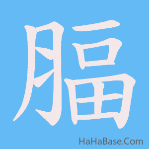 《腷》的筆順動畫寫字動畫演示