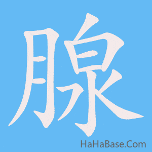 《腺》的筆順動畫寫字動畫演示