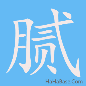 《腻》的筆順動畫寫字動畫演示