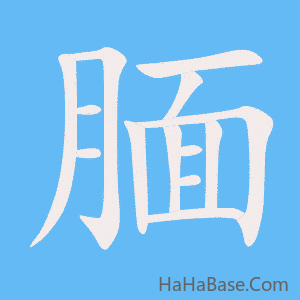《腼》的筆順動畫寫字動畫演示