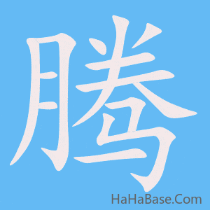 《腾》的筆順動畫寫字動畫演示