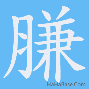 《膁》的筆順動畫寫字動畫演示