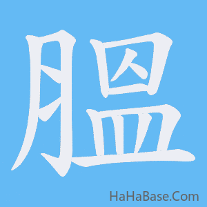 《膃》的筆順動畫寫字動畫演示