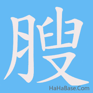 《膄》的筆順動畫寫字動畫演示