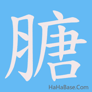 《膅》的筆順動畫寫字動畫演示