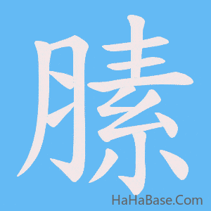 《膆》的筆順動畫寫字動畫演示