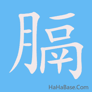 《膈》的筆順動畫寫字動畫演示