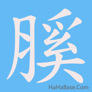 《膎》的筆順動畫寫字動畫演示