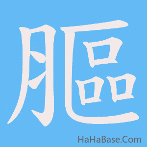《膒》的筆順動畫寫字動畫演示