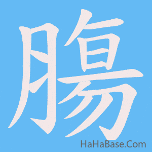 《膓》的筆順動畫寫字動畫演示