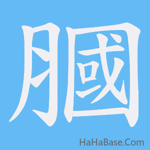 《膕》的筆順動畫寫字動畫演示