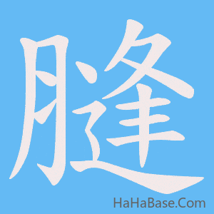 《膖》的筆順動畫寫字動畫演示