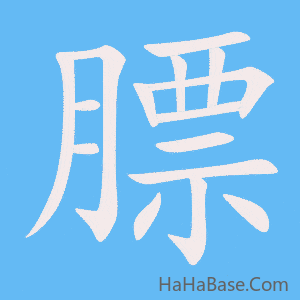 《膘》的筆順動畫寫字動畫演示
