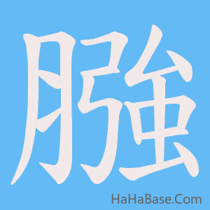 《膙》的筆順動畫寫字動畫演示