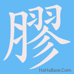 《膠》的筆順動畫寫字動畫演示