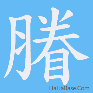 《膡》的筆順動畫寫字動畫演示